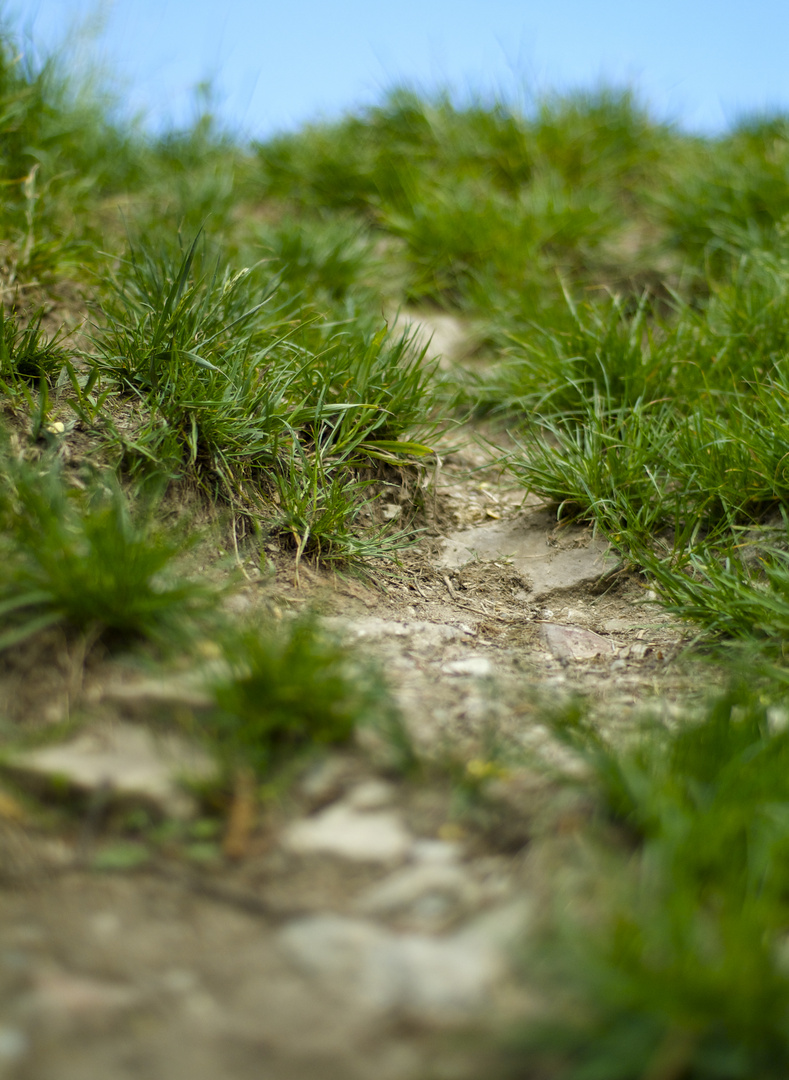 Gras, Stein und Erde