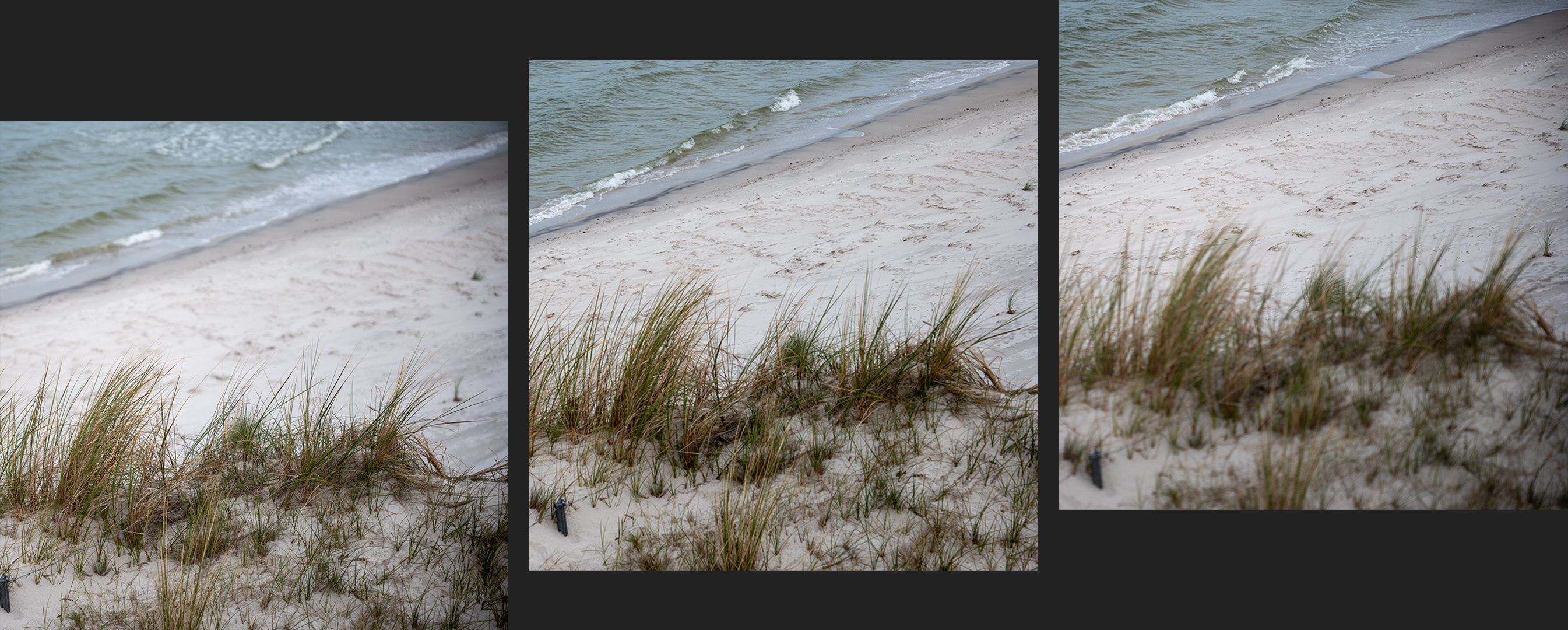 Gras und Meer