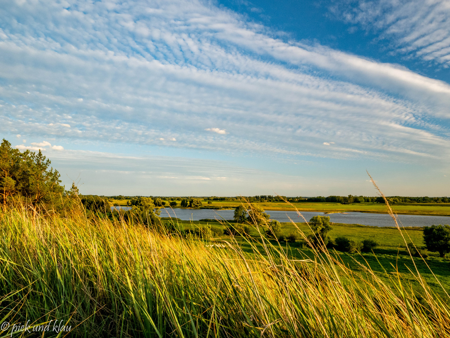 Gras und Oder