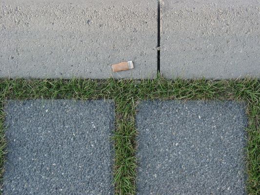 gras und steine. eine kippe.