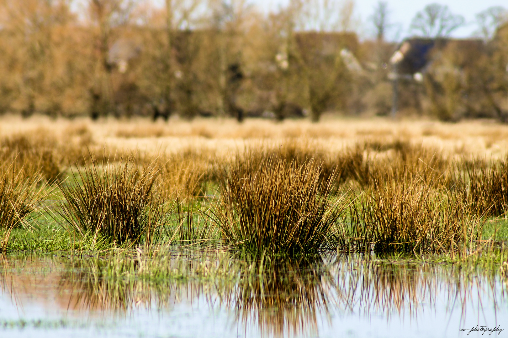 Gras- und Wiesenlandschaft Mecklenburg Vorpommern