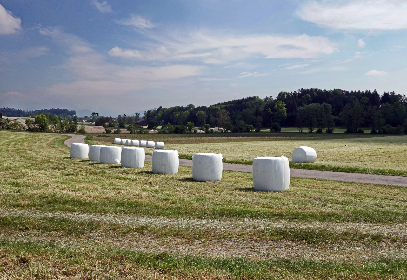 Grasballen