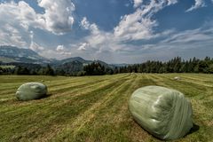 Grasballen