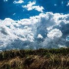 Grasböschung vor Wolkenhimmel