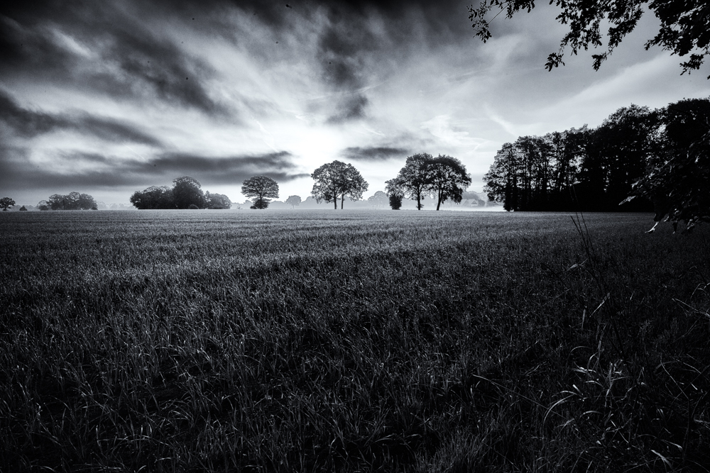 Grasdorf im Herbst