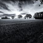 Grasdorf im Herbst