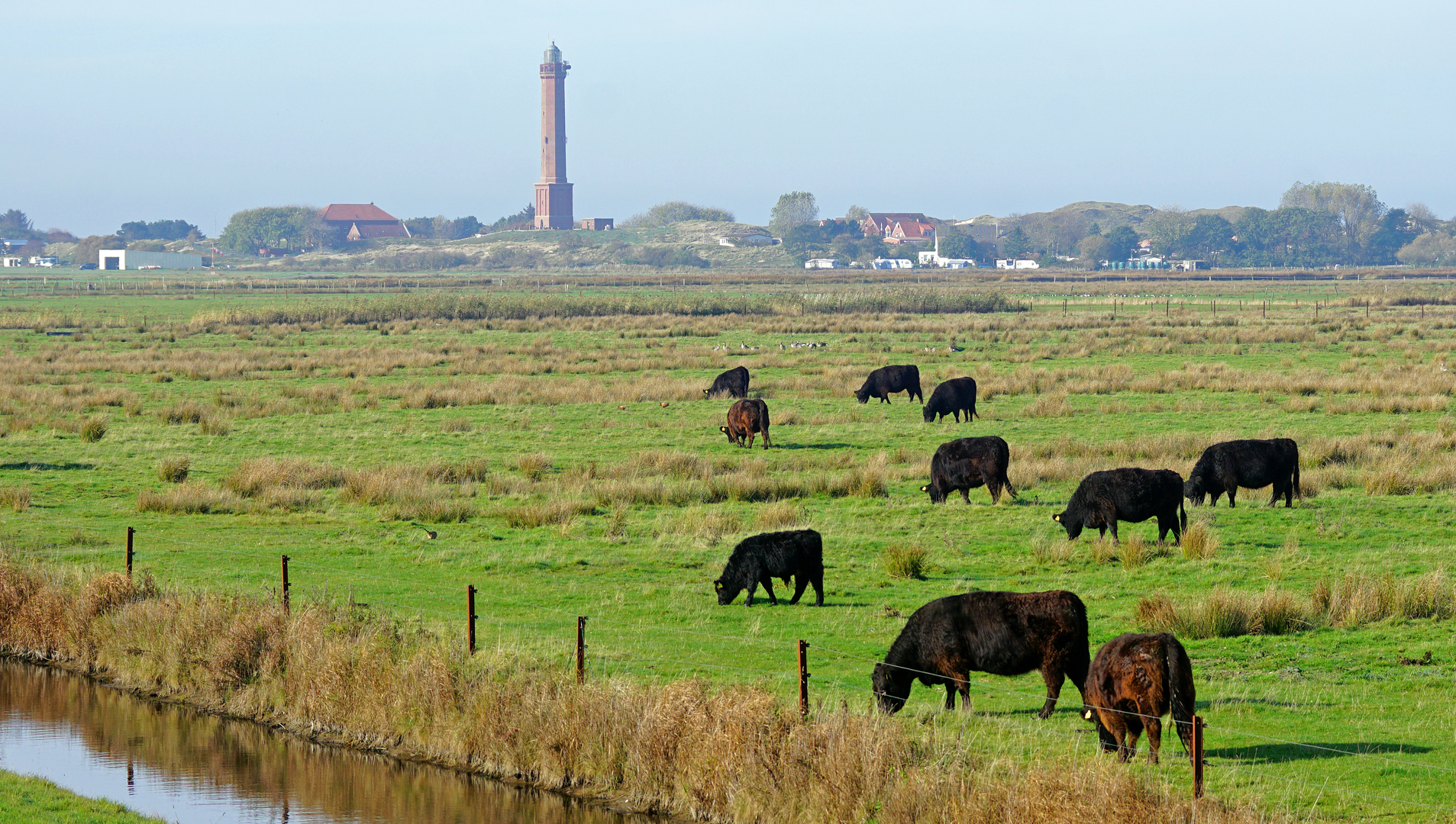 grasen unterm Leuchtturm