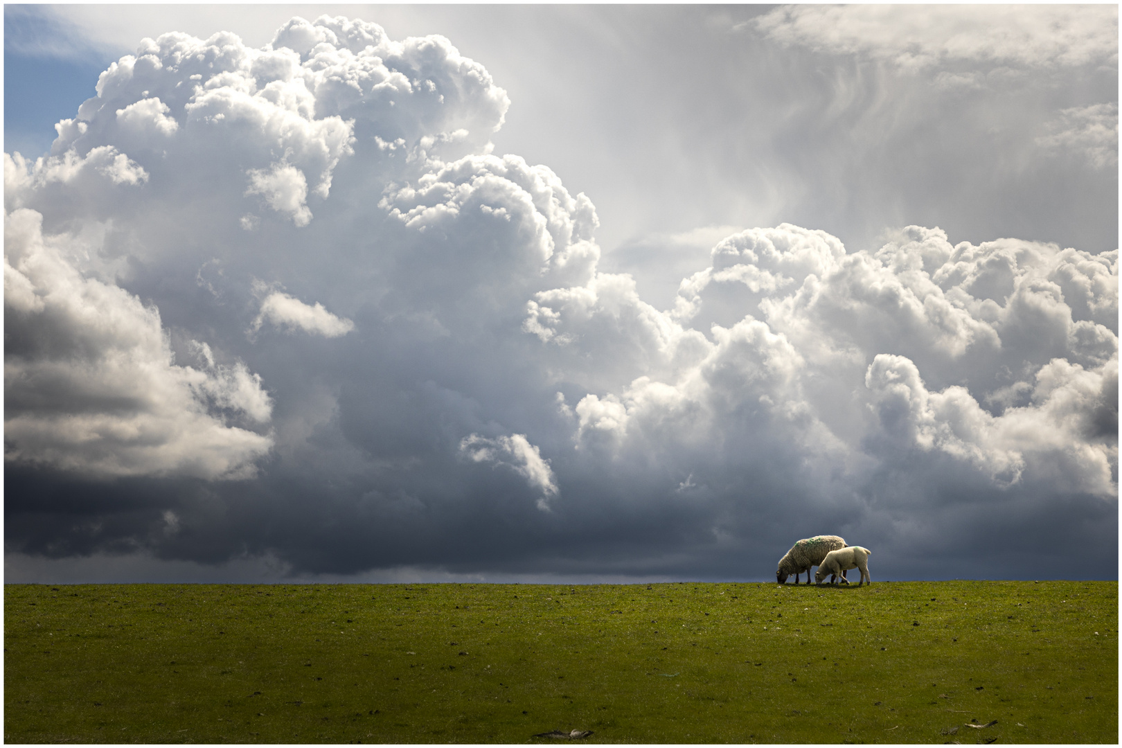 grasende Wolken