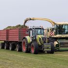 "Grasernte" in Mecklenburg-Vorpommern