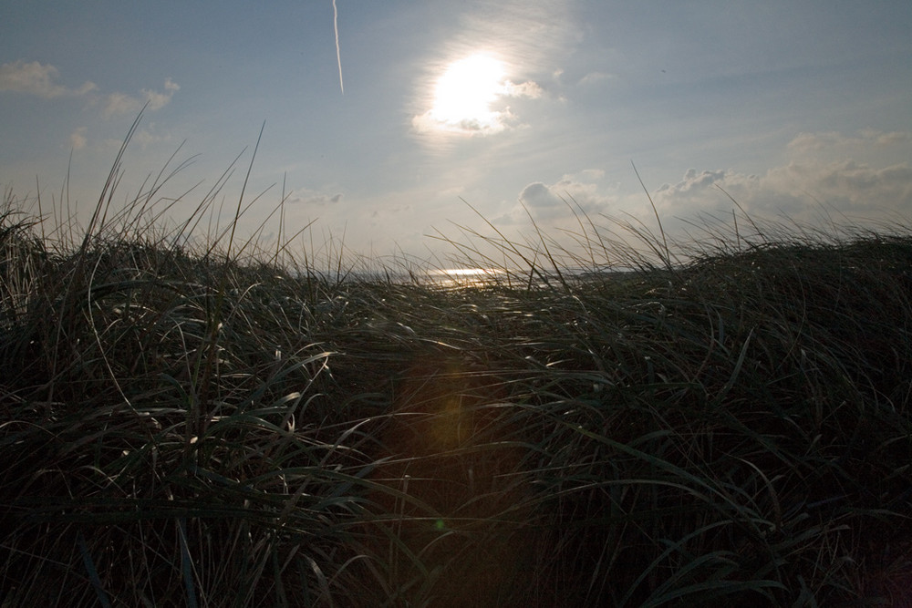 Grasgeflüster