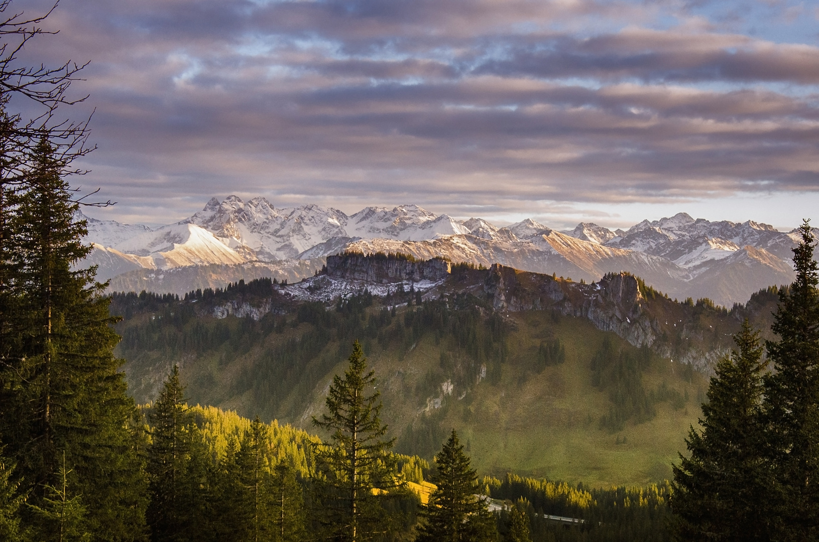 Grasgehren im Ällgäu