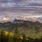 Grasgehren im Ällgäu