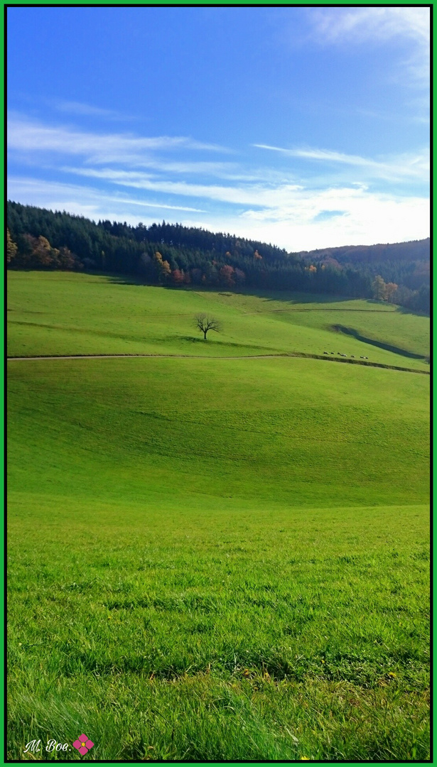 Grasgrüner Ausblick