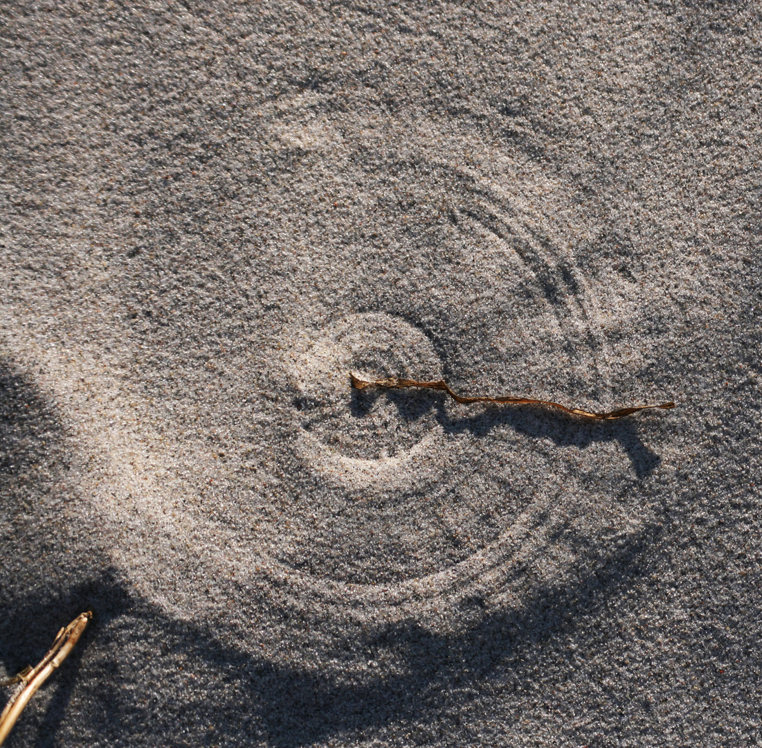 grashalm im wind