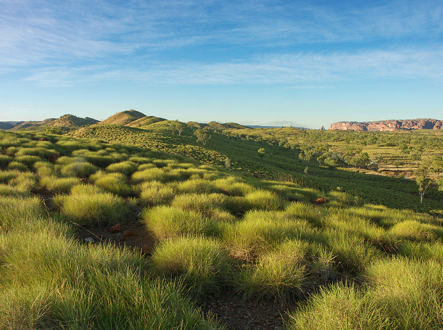 Grasland Foto & Bild australia & oceania, australia, northern