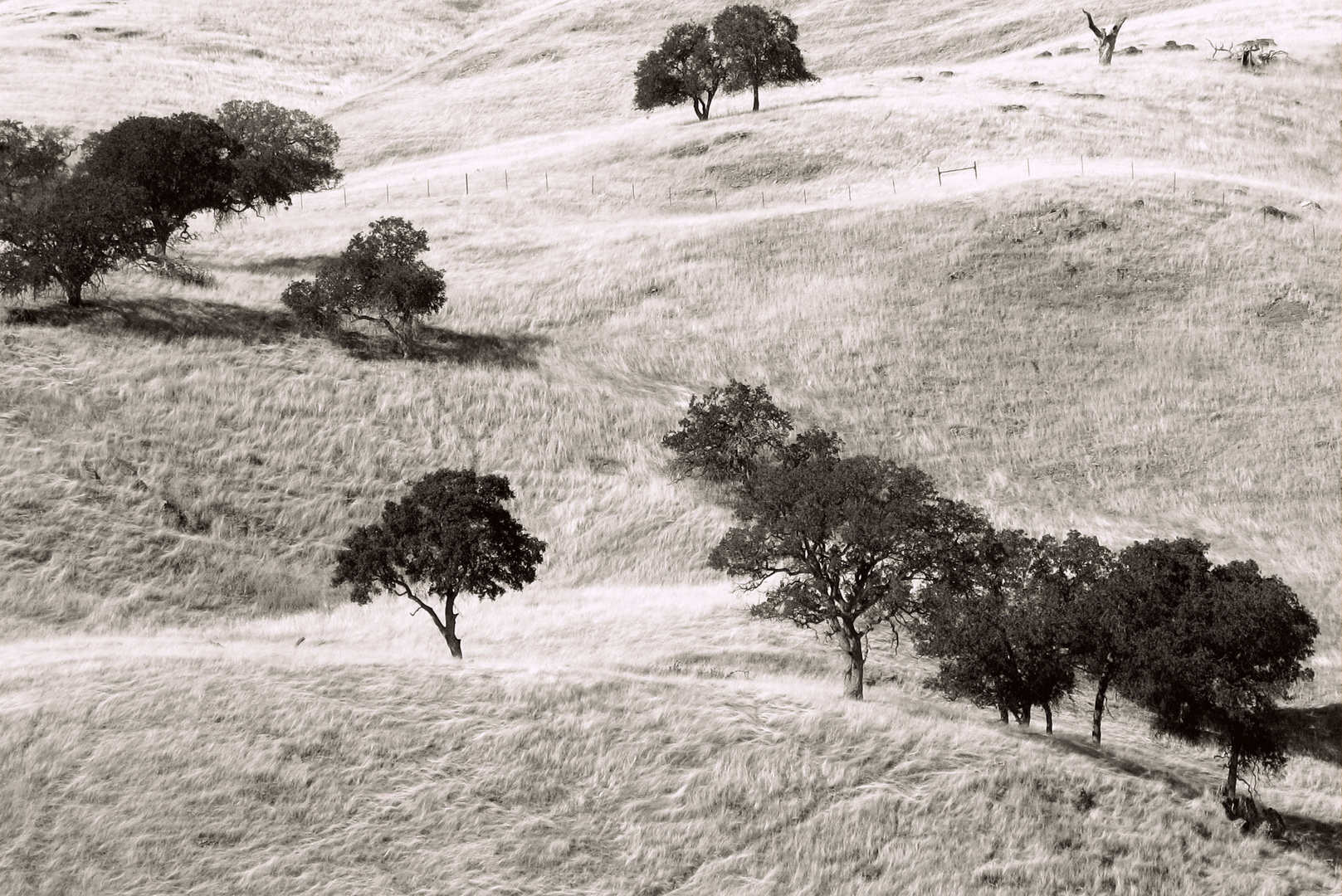 Graslands