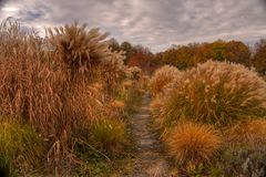 Graslandschaft