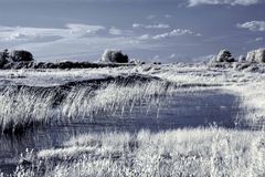 Graslandschaft