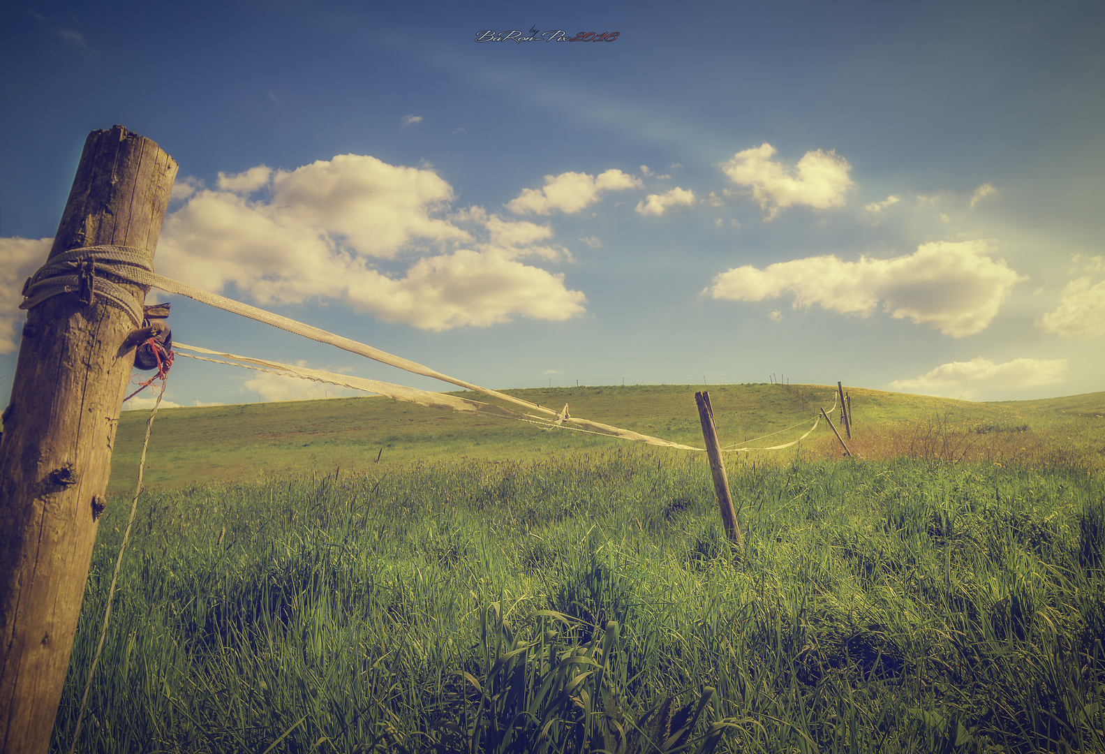 Graslandschaft