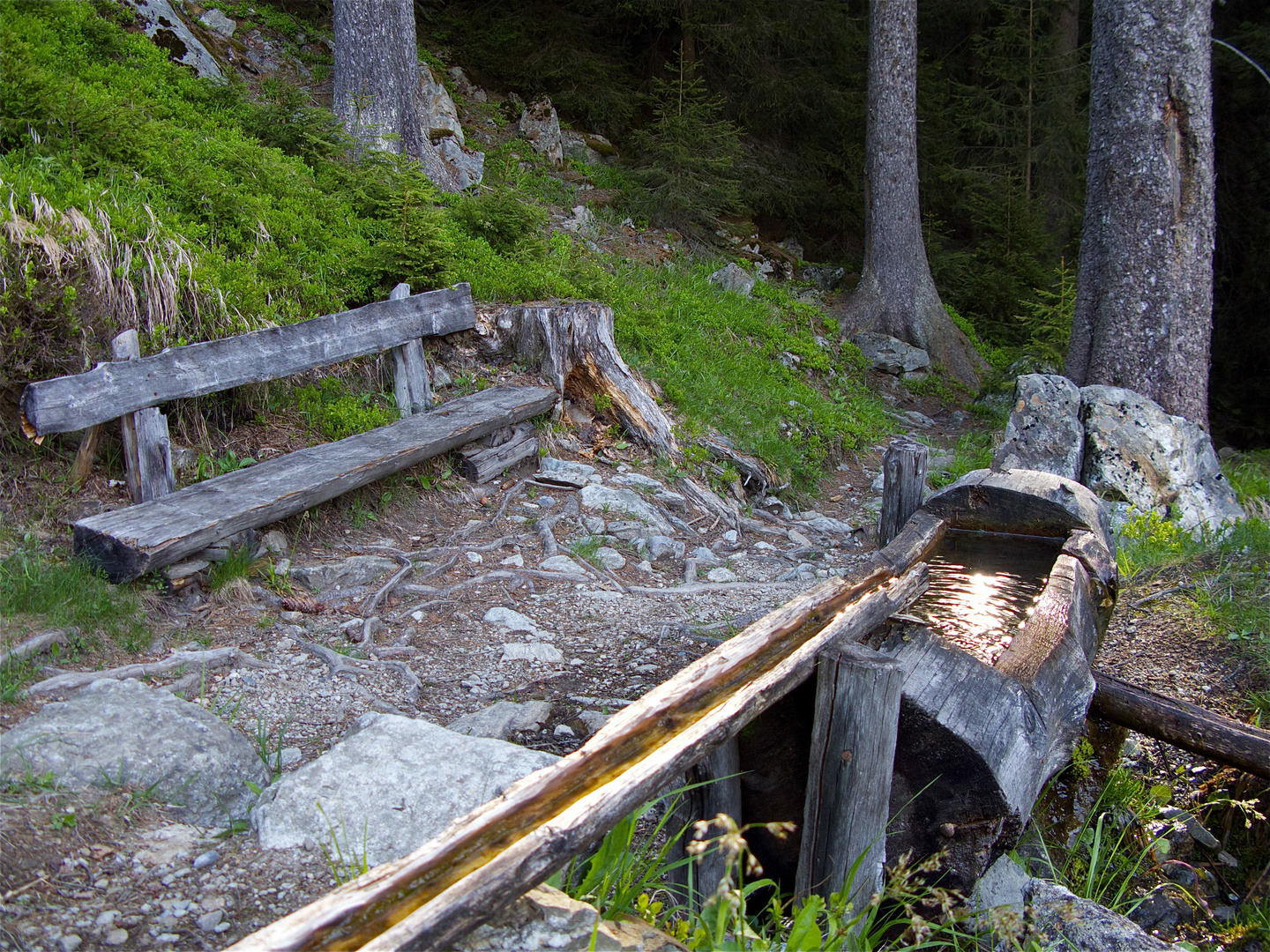 Graspeliweg Golzern - Maderanertal