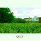 GraSS