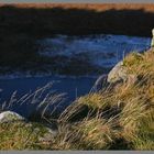 grass above crag lough