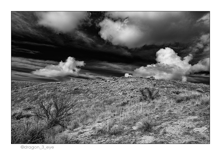 Grass and Desert Sky 2