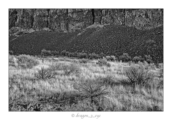 Grass and Rocks 