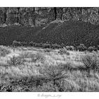 Grass and Rocks 