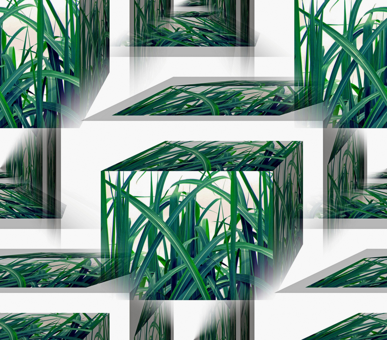 Grass In Boxes