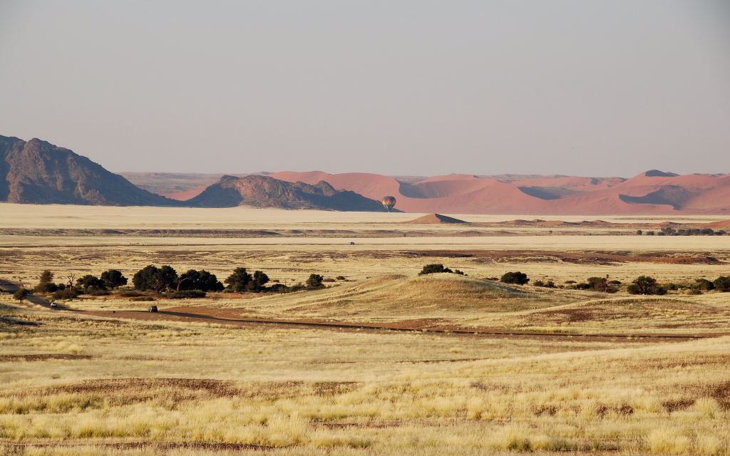 Grass plain and dunes