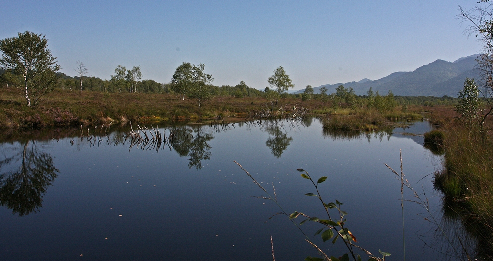 Grassauer Moor