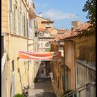 Grasse 3