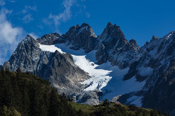 Grassen und Fünffingerstock im Herbstlicht