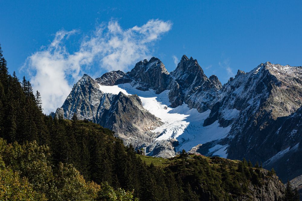 Grassen und Fünffingerstöcke beim Sustenpass