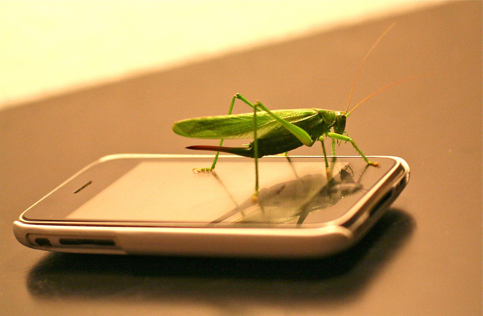 Grasshopper - waiting for new iPhone