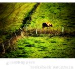 ~ grasshoppers brokeback mountain -- Bild mit [Cow] ohne [boy] ~