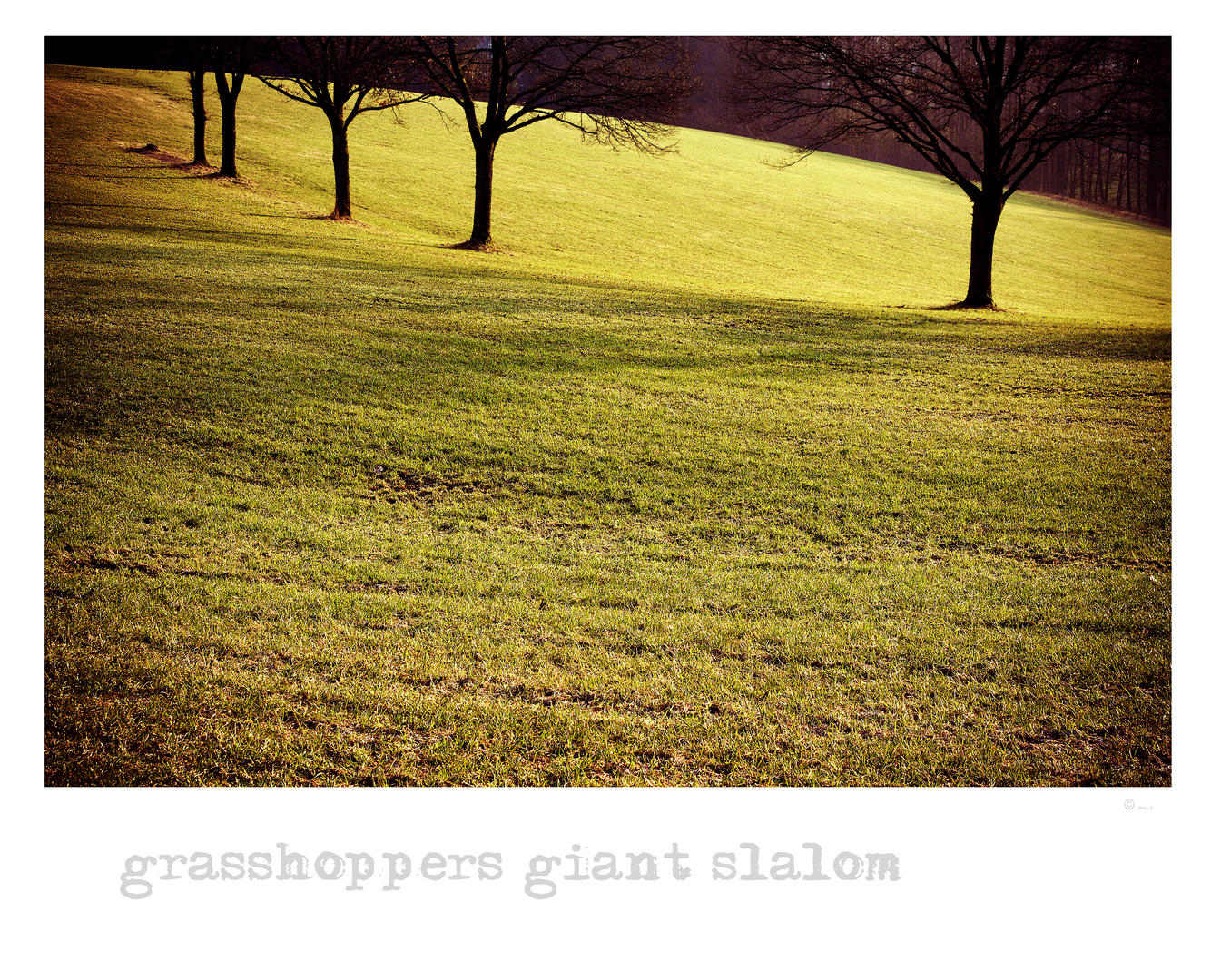 ~ grasshoppers giant slalom ~