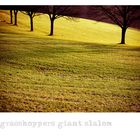 ~ grasshoppers giant slalom ~