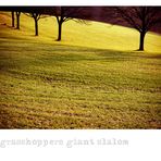 ~ grasshoppers giant slalom ~