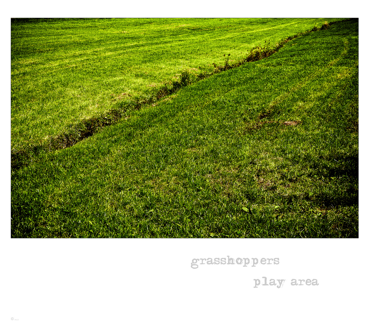 ~ grasshoppers play area ~