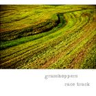 ~ grasshoppers race track ~