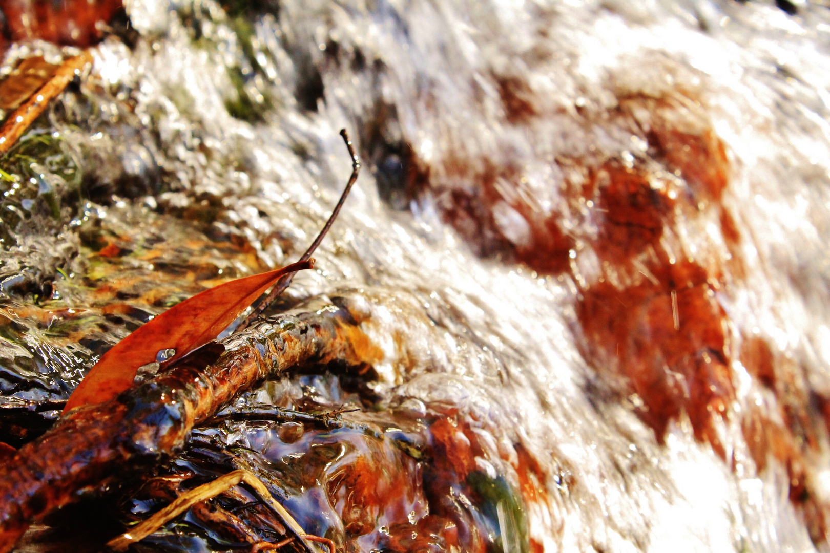 grasshoppers view of the falls