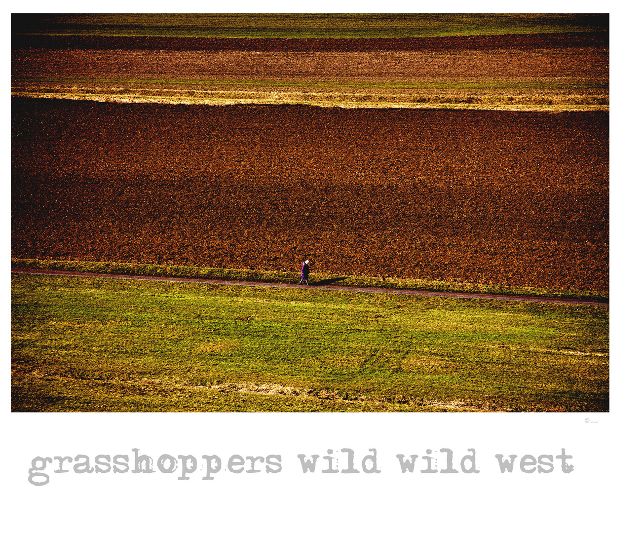 ~ grasshoppers wild wild west ~