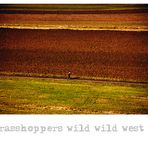 ~ grasshoppers wild wild west ~