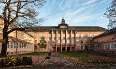 Grassimuseum in Leipzig (Innenhof)