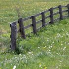 Grassland in Steiermark