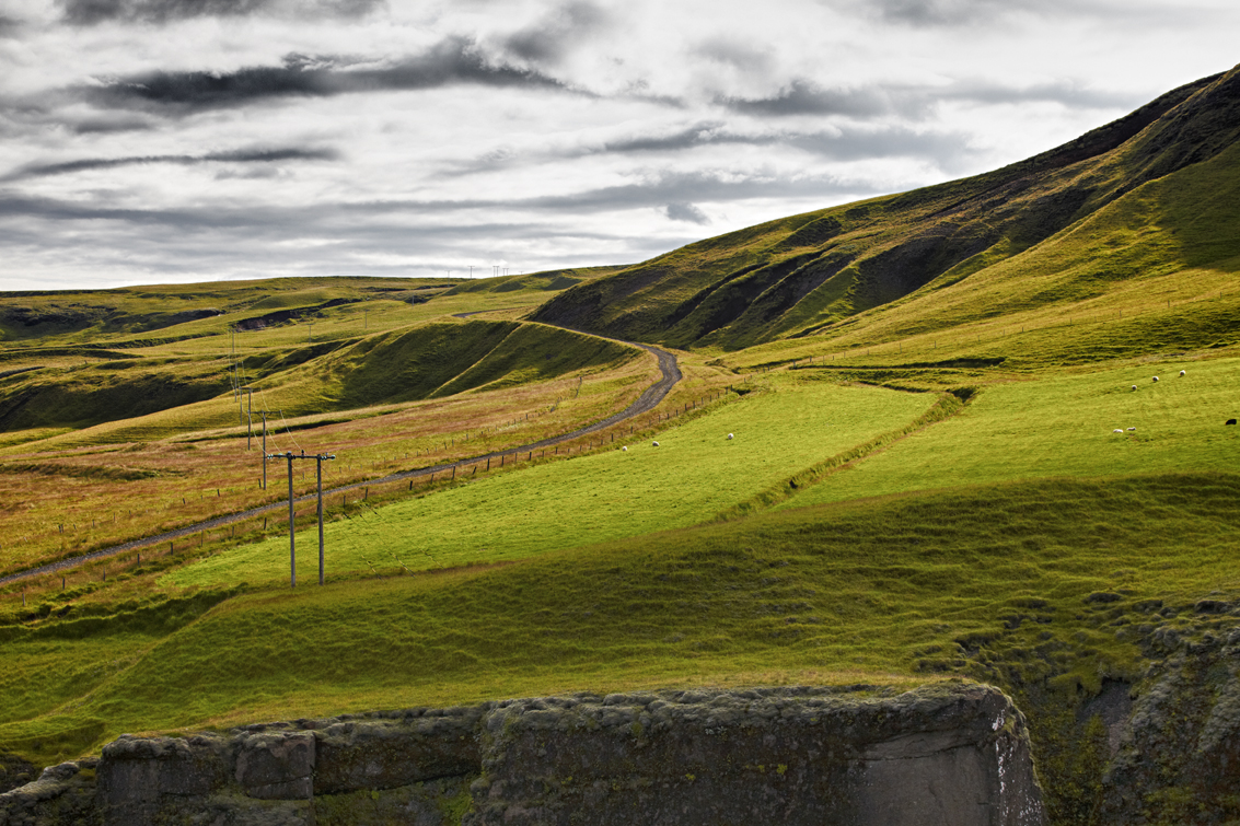 Grasslands on Iceland