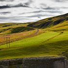 Grasslands on Iceland