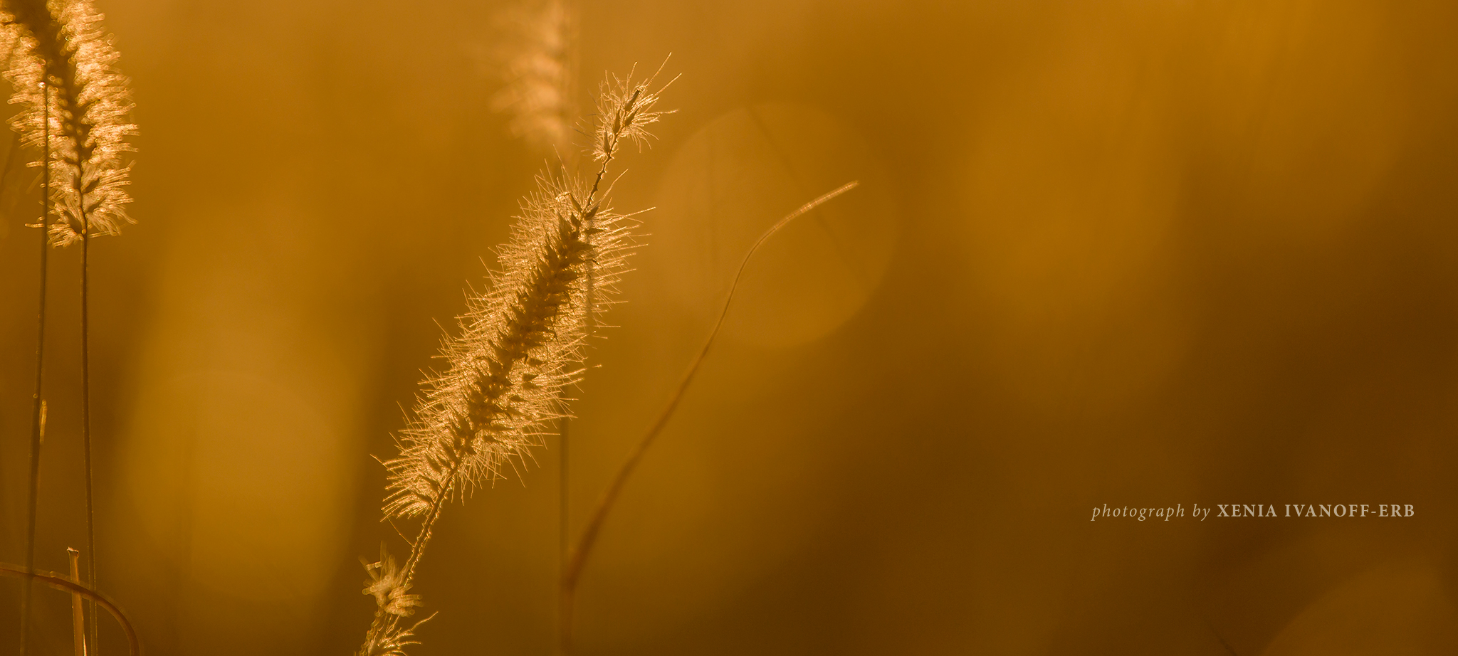 Grasslands Sunset